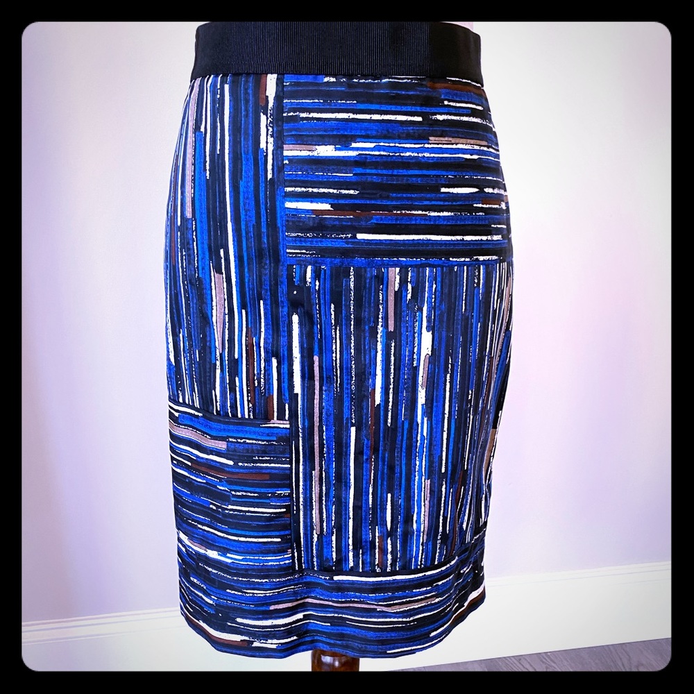 🌺 Ann Taylor Pencil Skirt NWOT🌺